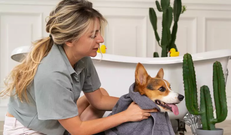 young woman wiping her dog with a towel
