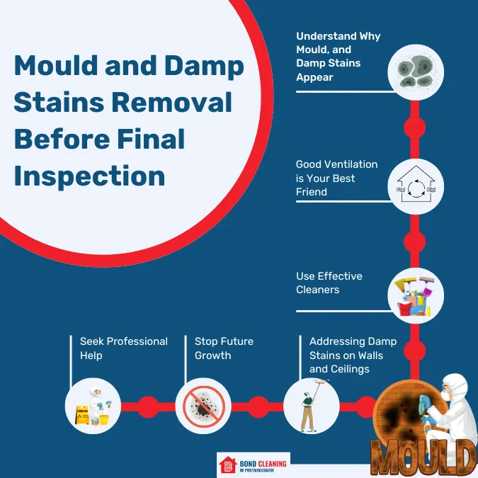 Mould and Damp Stains Removal Before Final Inspection